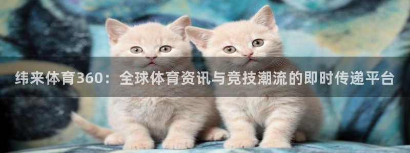 833直播体育免费入口：纬来体育360：全球体育资讯与竞技潮流的即时传递平台