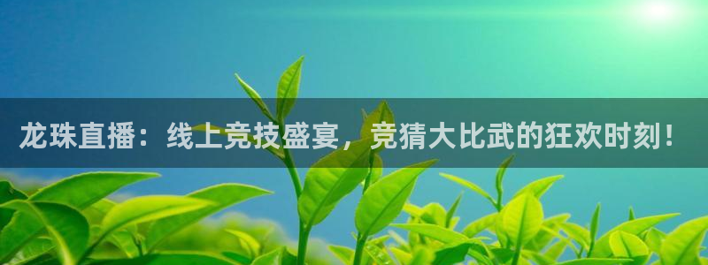 833直播足球比赛官网：龙珠直播：线上竞技盛宴，竞猜大比武的狂欢时刻！